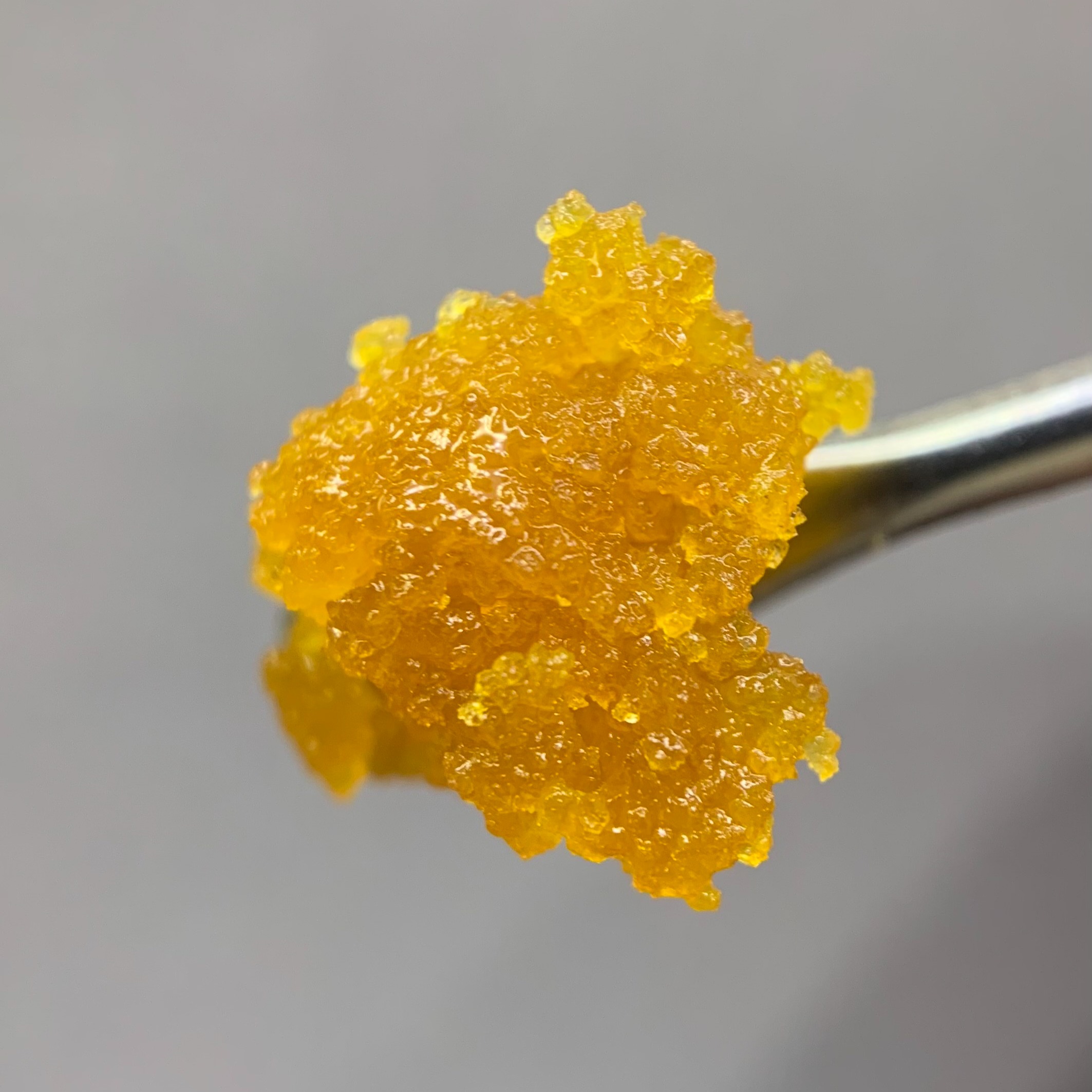 House Blend - Caviar